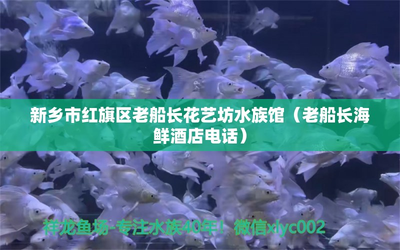 新鄉(xiāng)市紅旗區(qū)老船長花藝坊水族館（老船長海鮮酒店電話） 全國水族館企業(yè)名錄