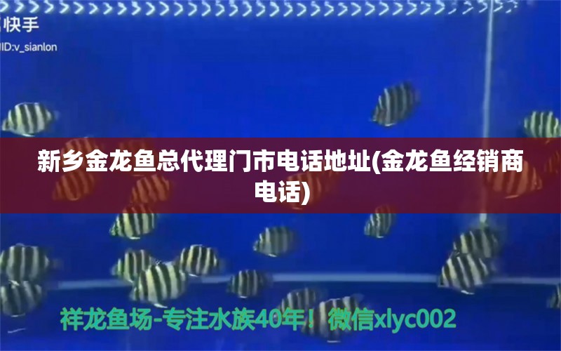 新鄉(xiāng)金龍魚總代理門市電話地址(金龍魚經銷商電話) 觀賞蝦蟹等飼料