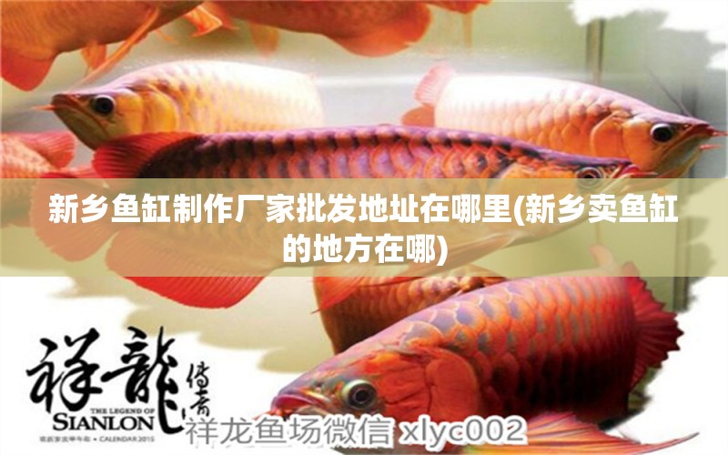 新鄉(xiāng)魚缸制作廠家批發(fā)地址在哪里(新鄉(xiāng)賣魚缸的地方在哪) 祥龍水族醫(yī)院