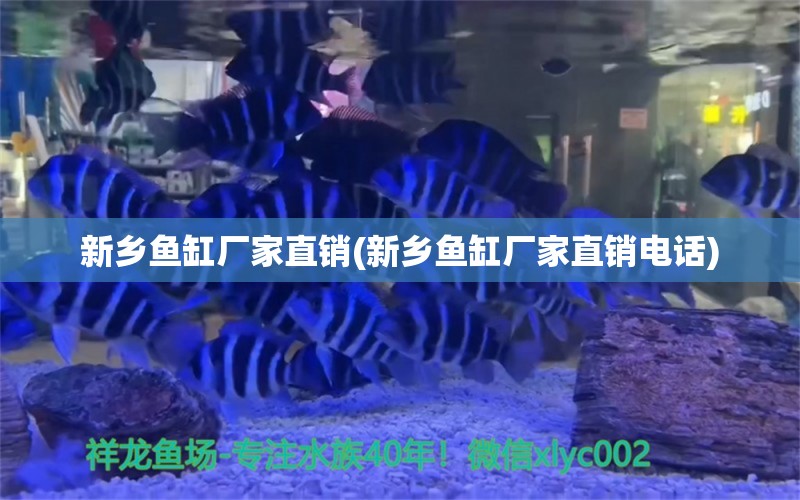 新鄉(xiāng)魚缸廠家直銷(新鄉(xiāng)魚缸廠家直銷電話) 帝王血鉆魚