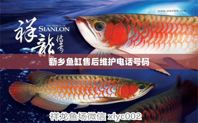 新鄉(xiāng)魚缸售后維護(hù)電話號(hào)碼