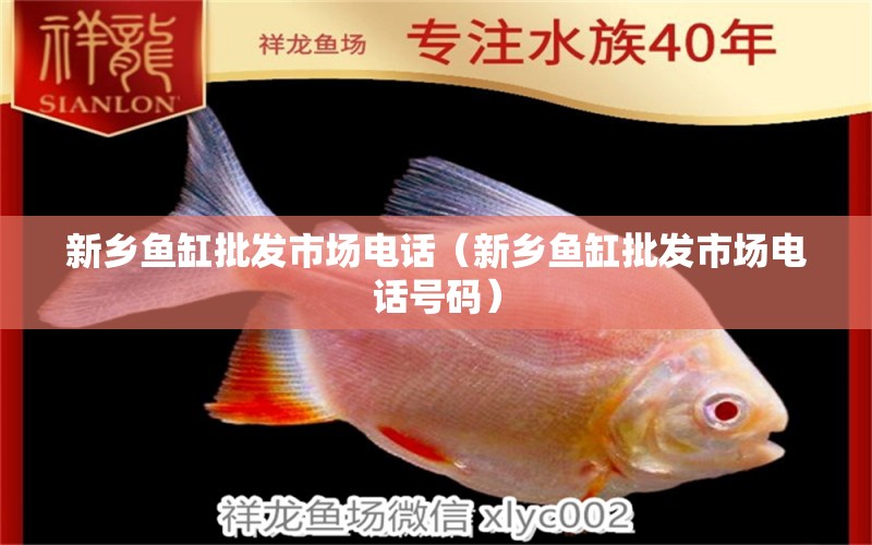 新鄉(xiāng)魚(yú)缸批發(fā)市場(chǎng)電話（新鄉(xiāng)魚(yú)缸批發(fā)市場(chǎng)電話號(hào)碼）