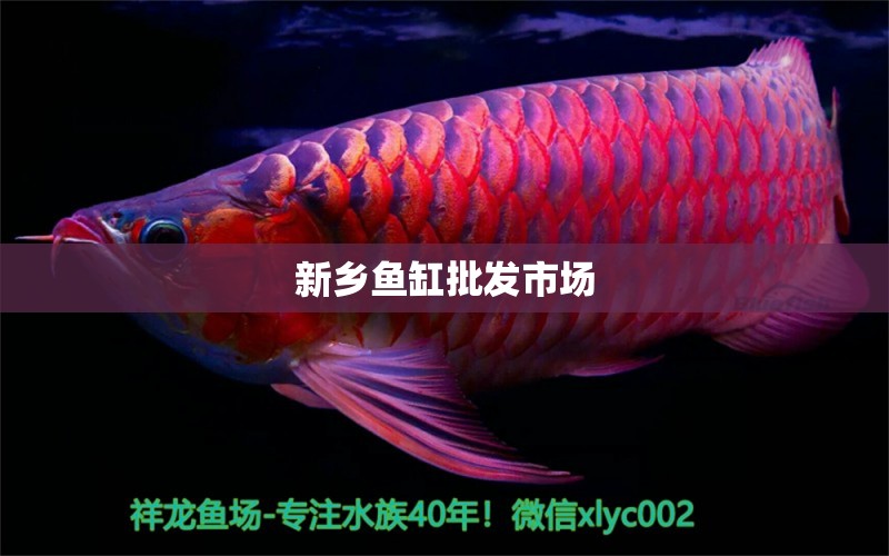 新鄉(xiāng)魚缸批發(fā)市場(chǎng)