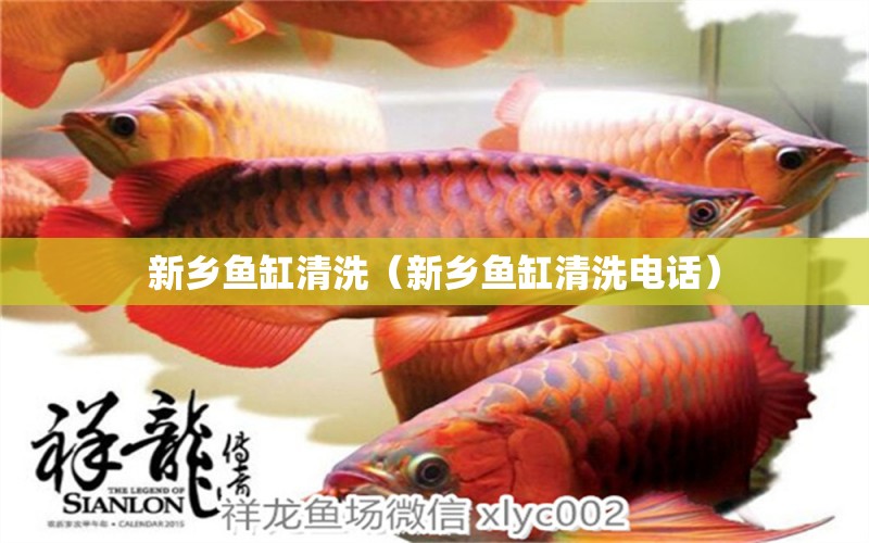 新鄉(xiāng)魚缸清洗（新鄉(xiāng)魚缸清洗電話） 量子養(yǎng)魚技術(shù)