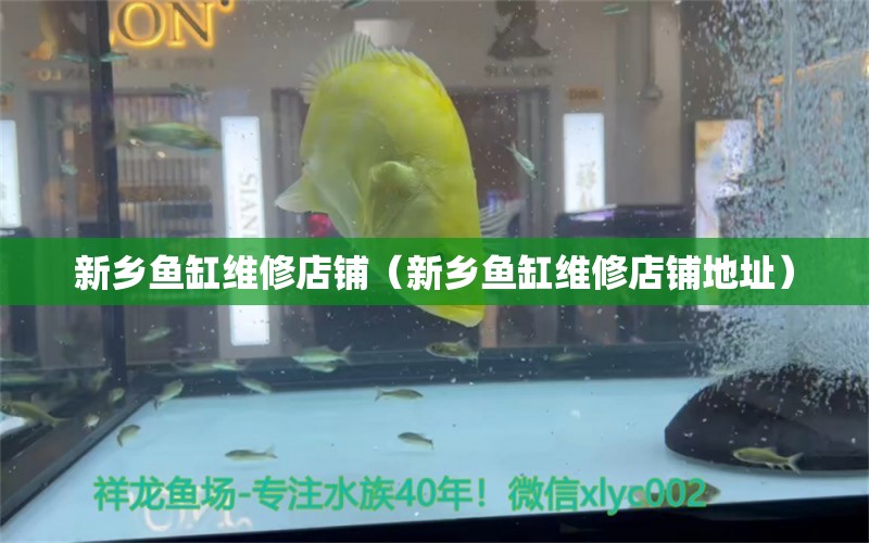 新鄉(xiāng)魚缸維修店鋪（新鄉(xiāng)魚缸維修店鋪地址）