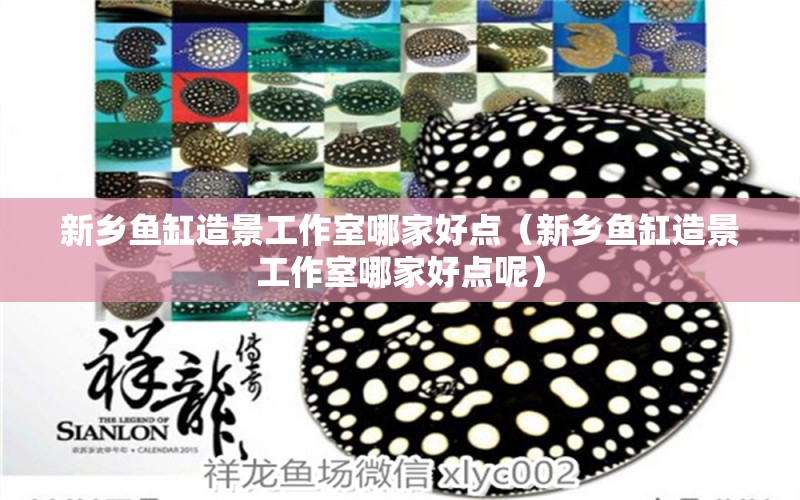 新鄉(xiāng)魚(yú)缸造景工作室哪家好點(diǎn)（新鄉(xiāng)魚(yú)缸造景工作室哪家好點(diǎn)呢）