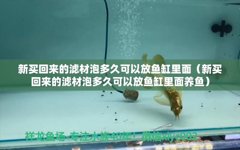 新買回來的濾材泡多久可以放魚缸里面（新買回來的濾材泡多久可以放魚缸里面養(yǎng)魚）