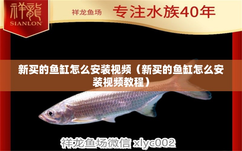 新買的魚缸怎么安裝視頻（新買的魚缸怎么安裝視頻教程）