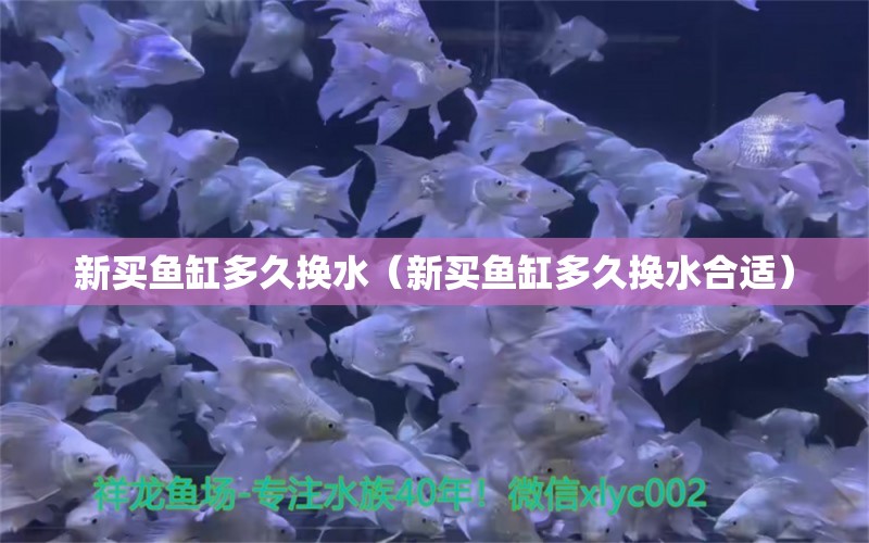 新買魚缸多久換水（新買魚缸多久換水合適）