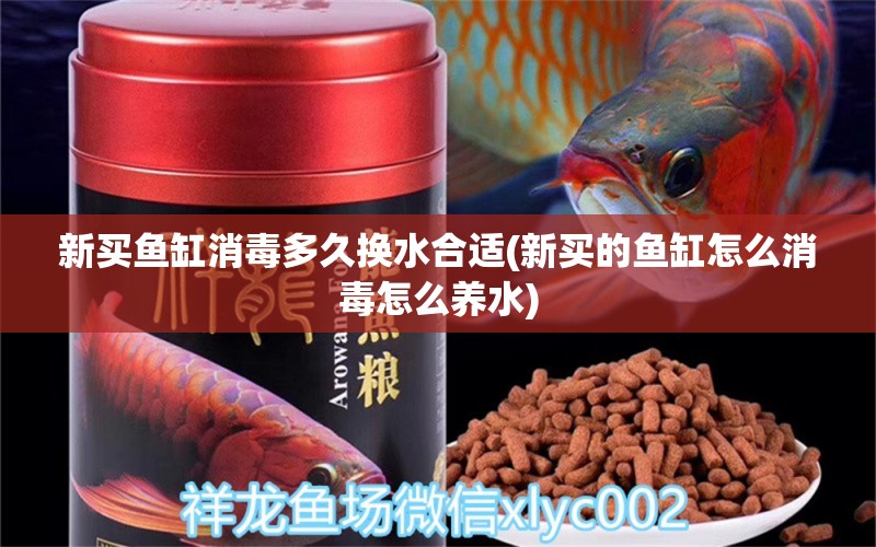 新買魚缸消毒多久換水合適(新買的魚缸怎么消毒怎么養(yǎng)水) 黃寬帶蝴蝶魚