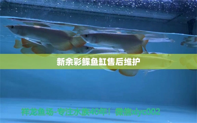 新余彩鰈魚缸售后維護(hù) 彩鰈魚缸（彩蝶魚缸）