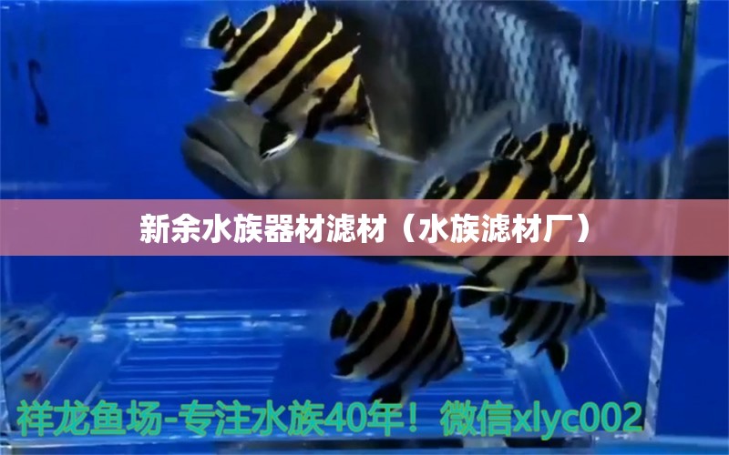 新余水族器材濾材（水族濾材廠） 狗仔（招財(cái)貓)魚苗