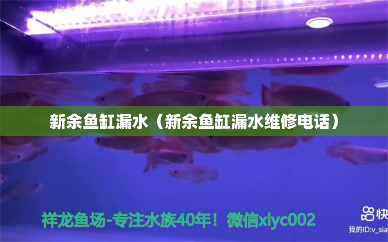 新余魚缸漏水（新余魚缸漏水維修電話）