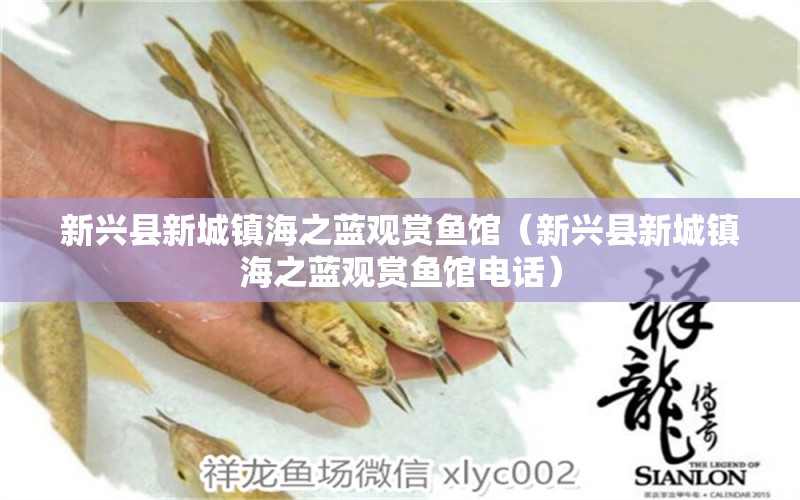 新興縣新城鎮(zhèn)海之藍觀賞魚館（新興縣新城鎮(zhèn)海之藍觀賞魚館電話）