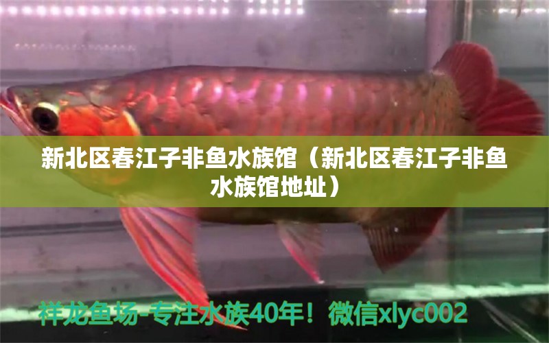 新北區(qū)春江子非魚水族館（新北區(qū)春江子非魚水族館地址）