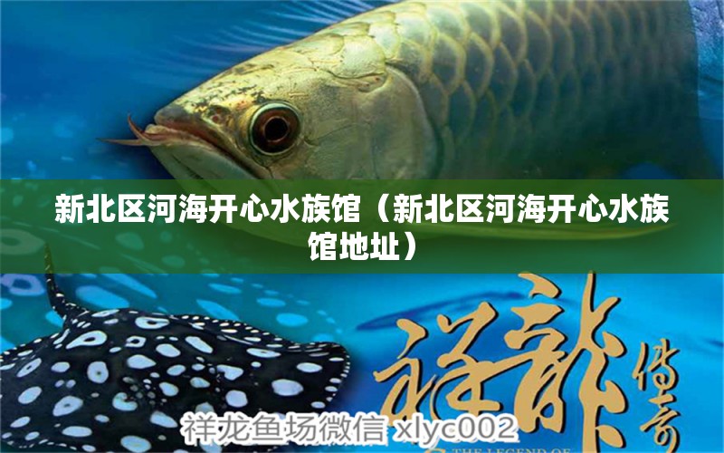 新北區(qū)河海開(kāi)心水族館（新北區(qū)河海開(kāi)心水族館地址） 全國(guó)水族館企業(yè)名錄