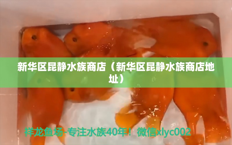 新華區(qū)昆靜水族商店（新華區(qū)昆靜水族商店地址） 全國水族館企業(yè)名錄