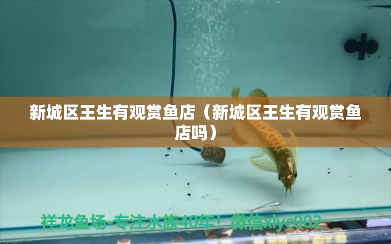 新城區(qū)王生有觀賞魚店（新城區(qū)王生有觀賞魚店嗎）