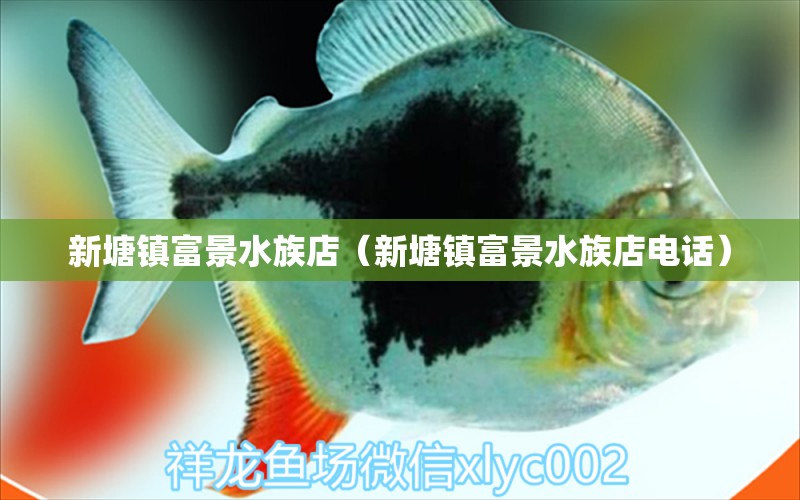 新塘鎮(zhèn)富景水族店（新塘鎮(zhèn)富景水族店電話） 全國水族館企業(yè)名錄