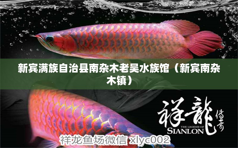 新賓滿族自治縣南雜木老吳水族館（新賓南雜木鎮(zhèn)） 全國水族館企業(yè)名錄