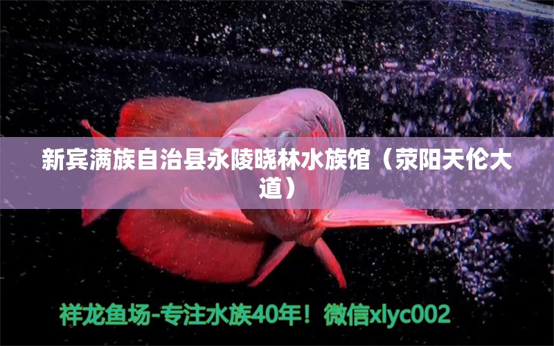 新賓滿族自治縣永陵曉林水族館（滎陽天倫大道） 全國水族館企業(yè)名錄