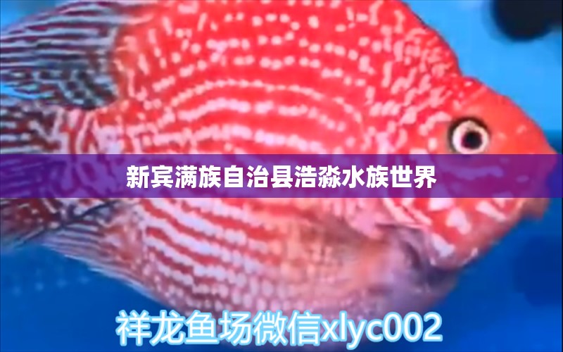 新賓滿族自治縣浩淼水族世界 全國(guó)水族館企業(yè)名錄