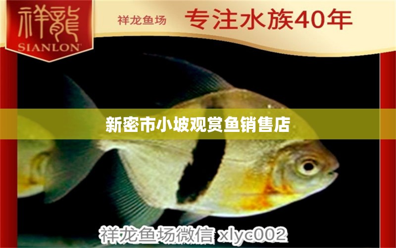 新密市小坡觀賞魚銷售店 全國水族館企業(yè)名錄