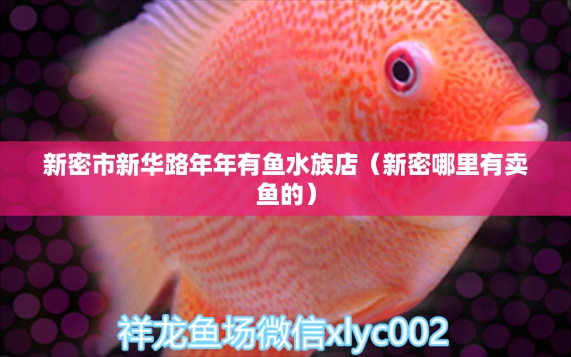 新密市新華路年年有魚水族店（新密哪里有賣魚的） 全國水族館企業(yè)名錄