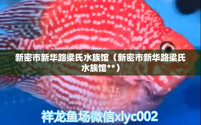 新密市新華路梁氏水族館（新密市新華路梁氏水族館**）