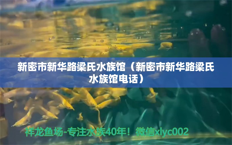 新密市新華路梁氏水族館（新密市新華路梁氏水族館電話）