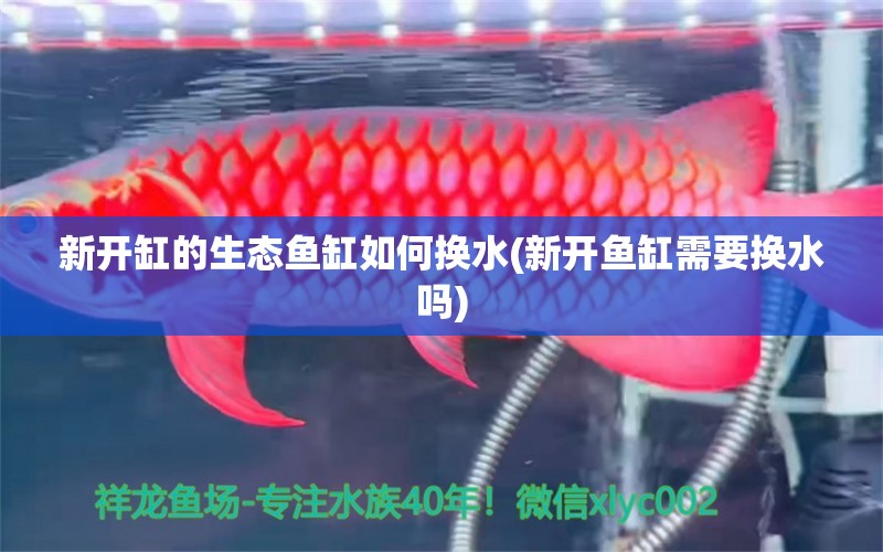 新開缸的生態(tài)魚缸如何換水(新開魚缸需要換水嗎) 森森魚缸