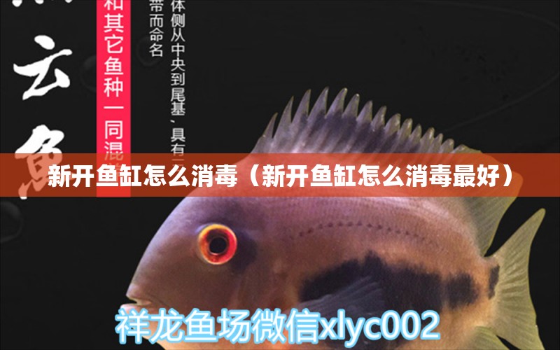 新開(kāi)魚(yú)缸怎么消毒（新開(kāi)魚(yú)缸怎么消毒最好） 皇冠黑白魟魚(yú)