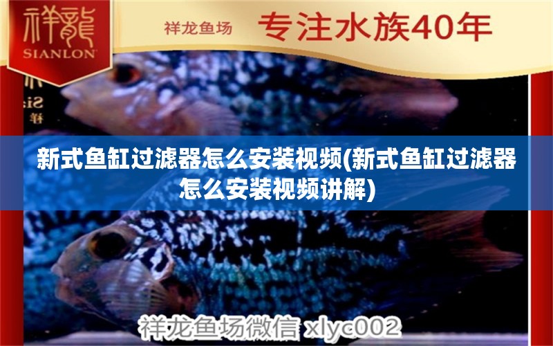 新式魚(yú)缸過(guò)濾器怎么安裝視頻(新式魚(yú)缸過(guò)濾器怎么安裝視頻講解) 球鯊魚(yú)