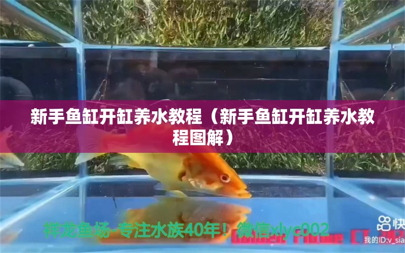 新手魚缸開缸養(yǎng)水教程（新手魚缸開缸養(yǎng)水教程圖解）