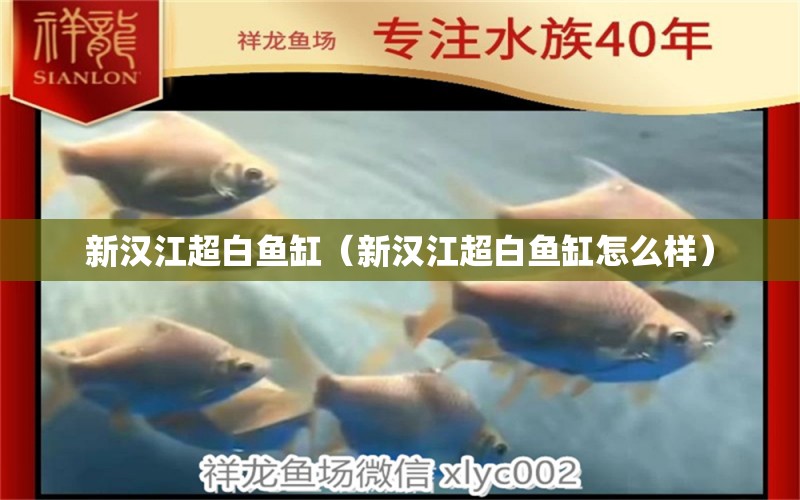 新漢江超白魚缸（新漢江超白魚缸怎么樣）