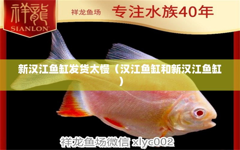 新漢江魚缸發(fā)貨太慢（漢江魚缸和新漢江魚缸） 廣州觀賞魚批發(fā)市場