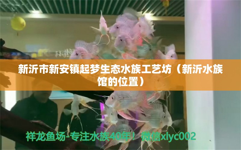 新沂市新安鎮(zhèn)起夢(mèng)生態(tài)水族工藝坊（新沂水族館的位置） 全國水族館企業(yè)名錄