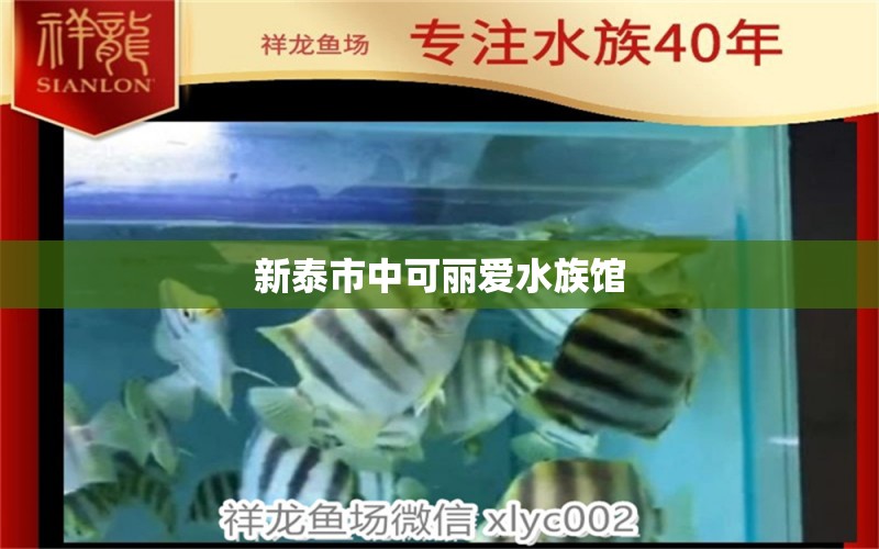 新泰市中可麗愛水族館 全國水族館企業(yè)名錄