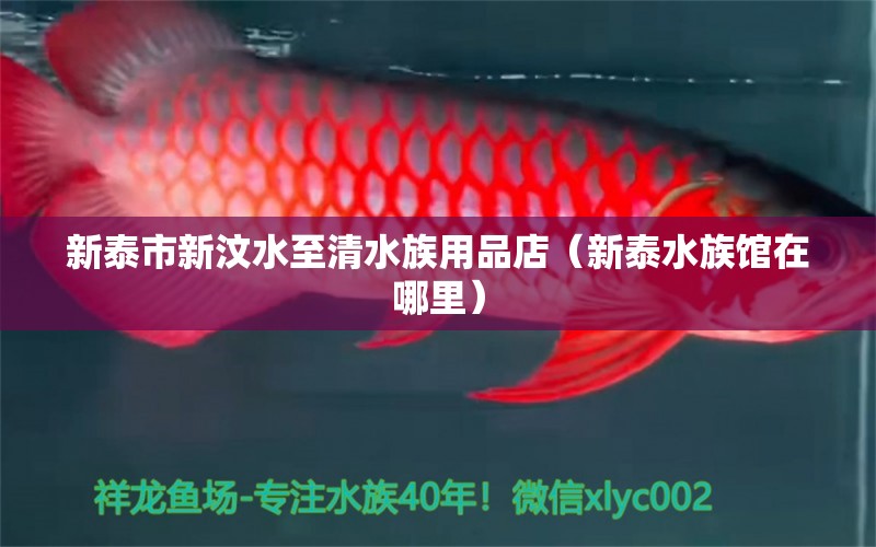 新泰市新汶水至清水族用品店（新泰水族館在哪里）