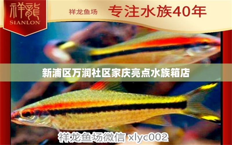 新浦區(qū)萬潤社區(qū)家慶亮點水族箱店