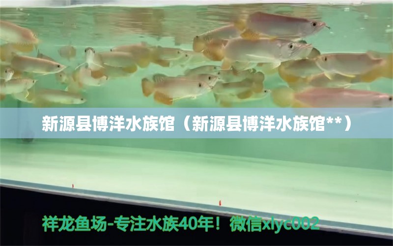 新源縣博洋水族館（新源縣博洋水族館**） 全國水族館企業(yè)名錄