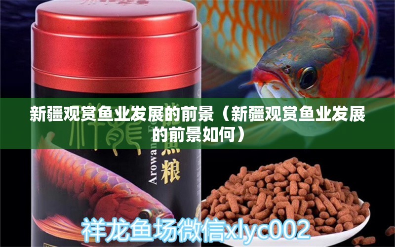 新疆觀賞魚業(yè)發(fā)展的前景（新疆觀賞魚業(yè)發(fā)展的前景如何） 量子養(yǎng)魚技術