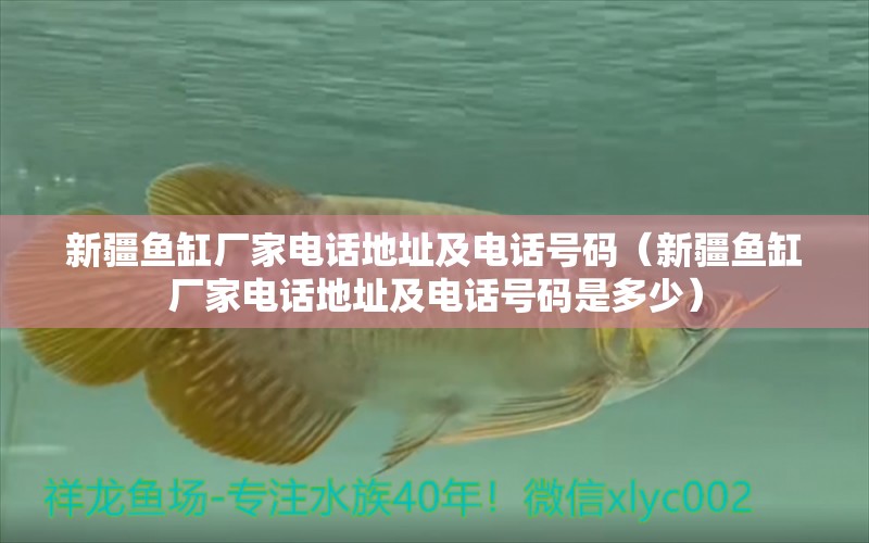 新疆魚缸廠家電話地址及電話號碼（新疆魚缸廠家電話地址及電話號碼是多少）