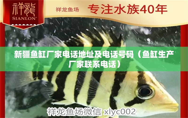 新疆魚缸廠家電話地址及電話號碼（魚缸生產(chǎn)廠家聯(lián)系電話）