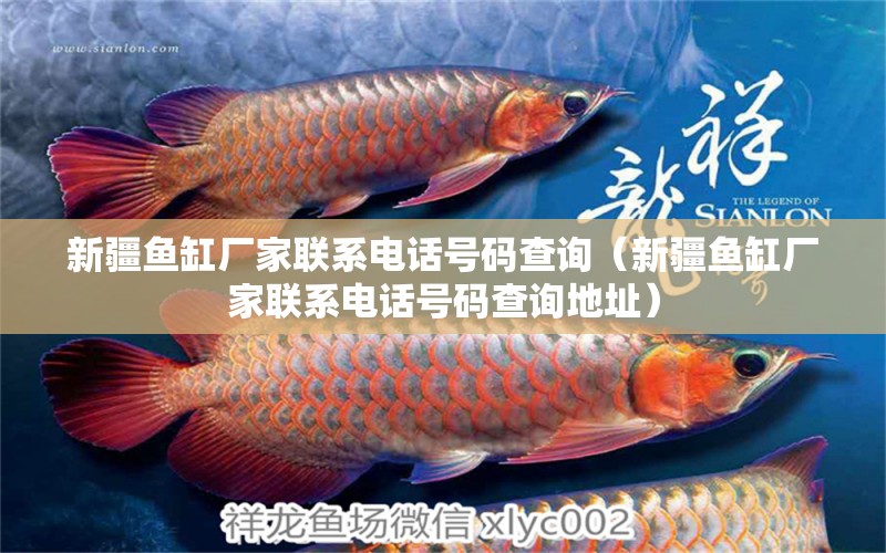 新疆魚缸廠家聯(lián)系電話號(hào)碼查詢（新疆魚缸廠家聯(lián)系電話號(hào)碼查詢地址） 觀賞魚市場(chǎng)（混養(yǎng)魚）