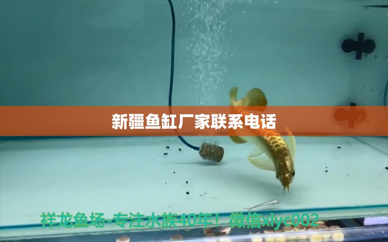 新疆魚(yú)缸廠家聯(lián)系電話