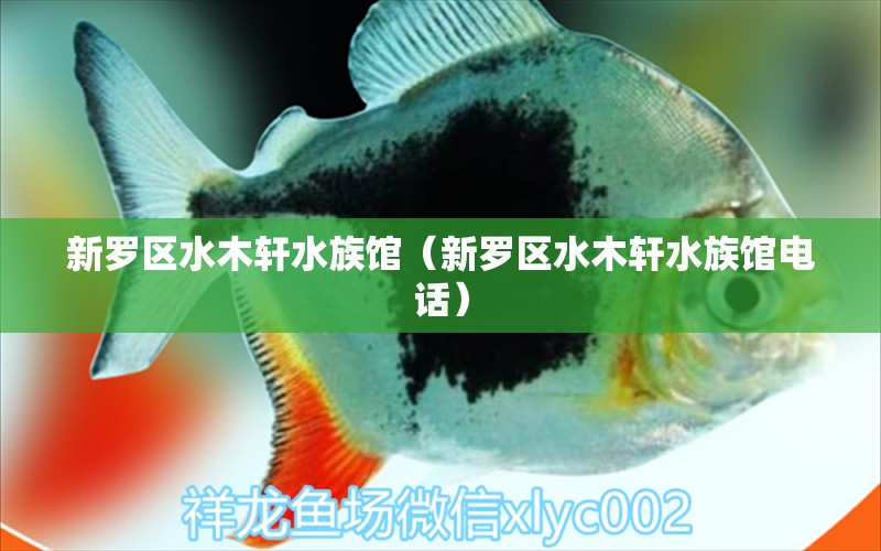 新羅區(qū)水木軒水族館（新羅區(qū)水木軒水族館電話）