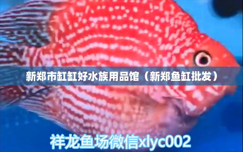 新鄭市缸缸好水族用品館（新鄭魚缸批發(fā)） 水族用品