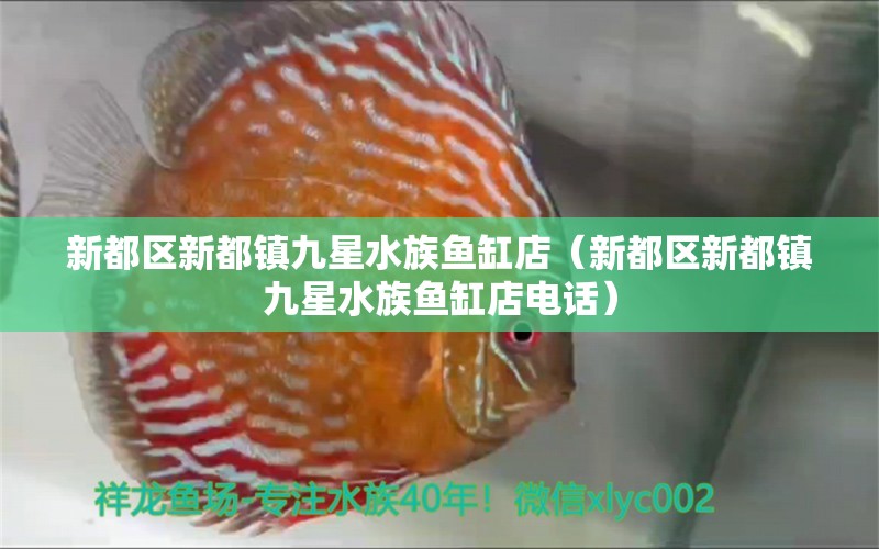 新都區(qū)新都鎮(zhèn)九星水族魚(yú)缸店（新都區(qū)新都鎮(zhèn)九星水族魚(yú)缸店電話(huà)）