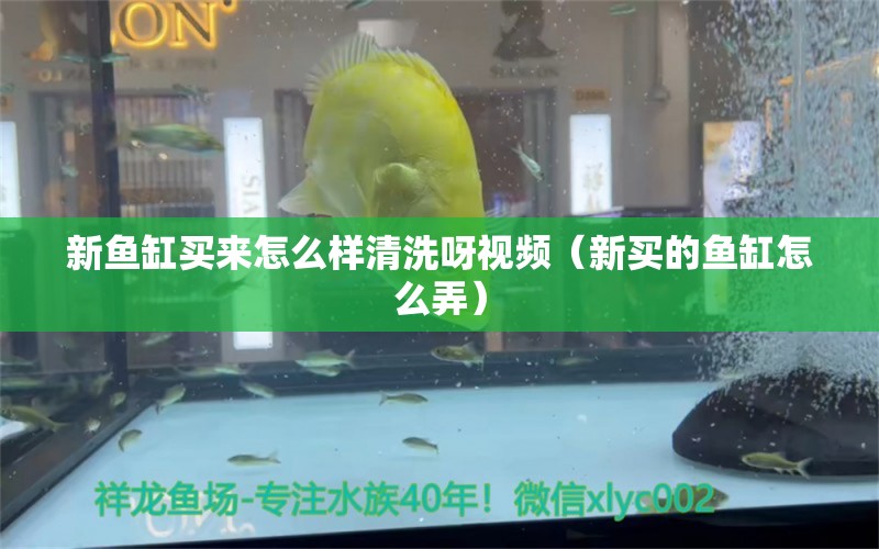 新魚缸買來怎么樣清洗呀視頻（新買的魚缸怎么弄） 廣州觀賞魚批發(fā)市場